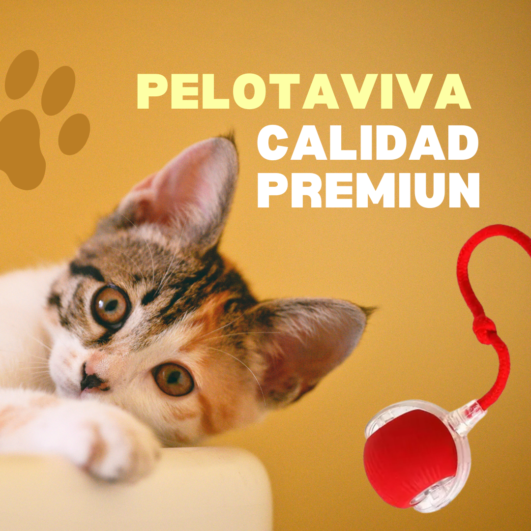 Pelotaviva UP-2 Juguete Perros