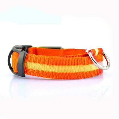Collar LED de Seguridad para Perro - uso nocturno