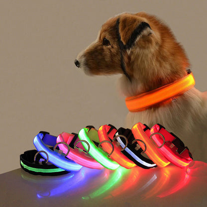 Collar LED - foto adicional 4