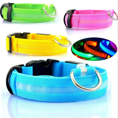 Collar LED de Seguridad para Perro - colores disponibles