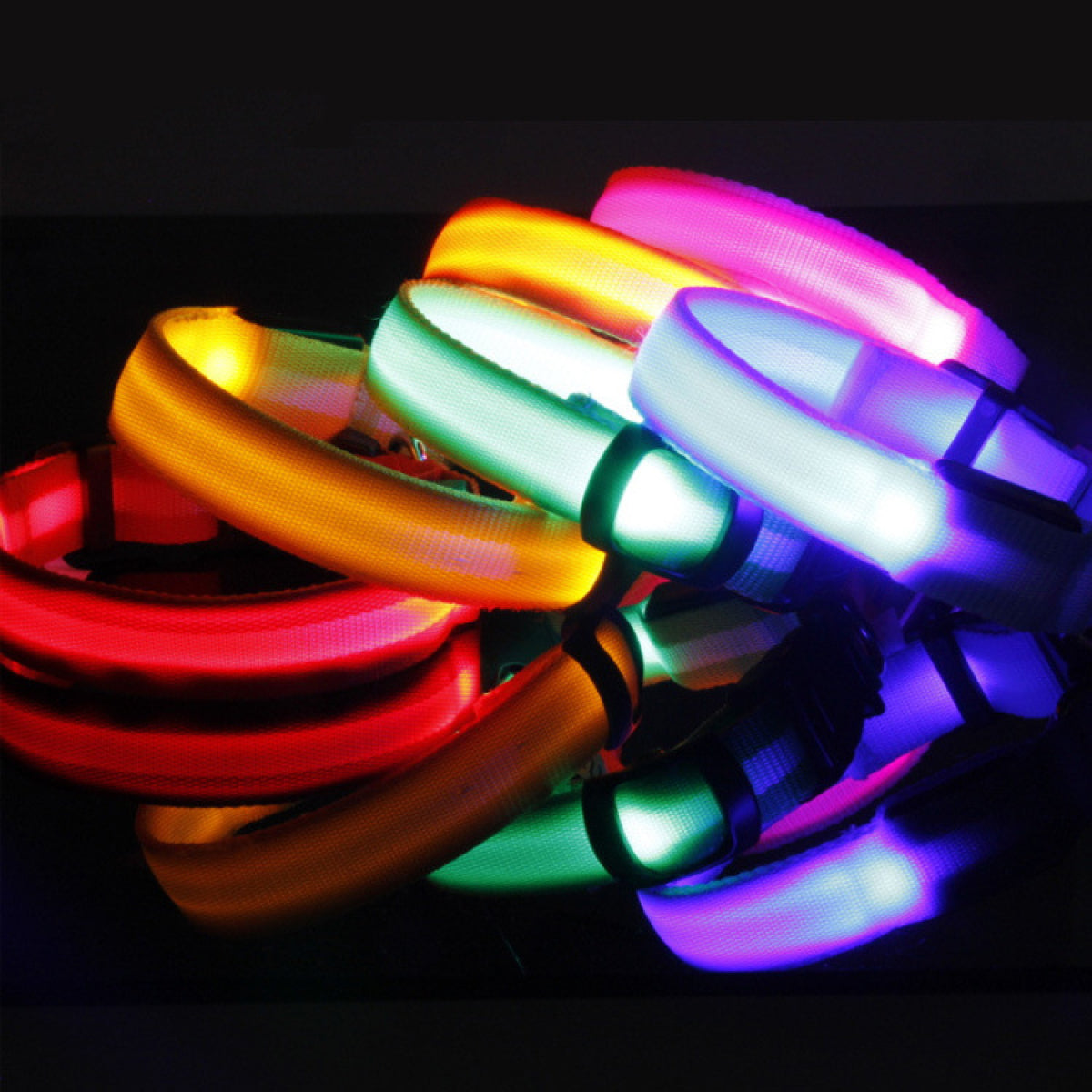 Collar LED de Seguridad para Perro - detalle