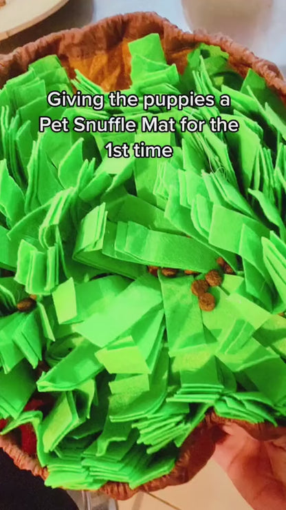 Manta Olfativa Antiestrés para Perro - Snuffle Mat